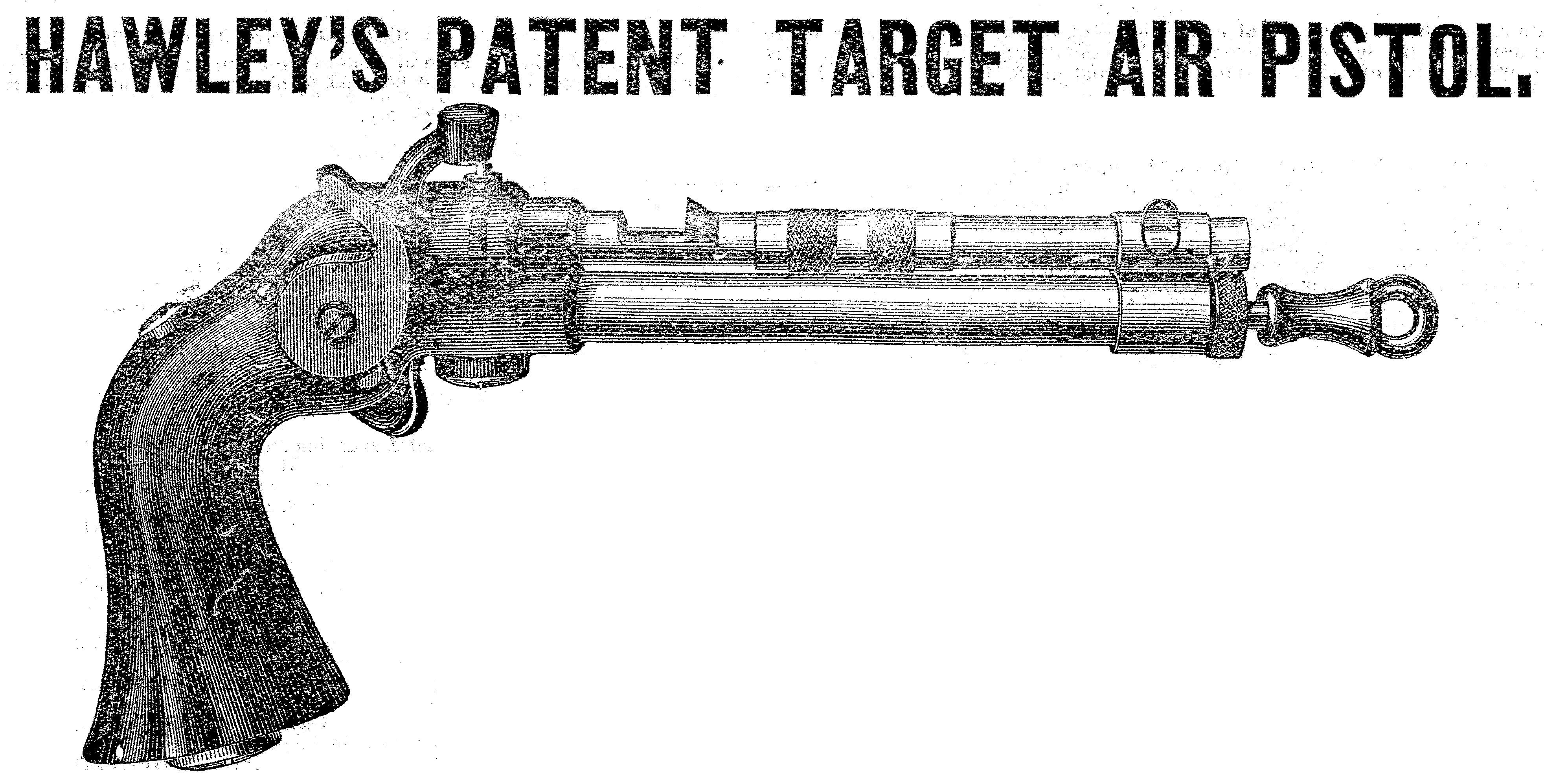 (image for) Hawley